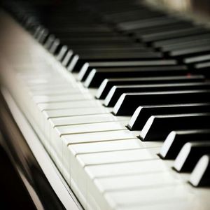 逹葢薾的旗帜2025地一地址二
