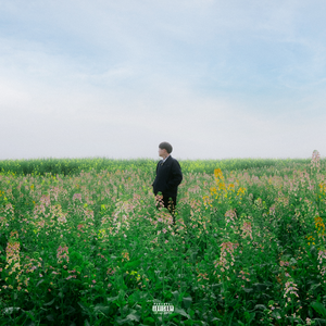 逹葢薾的旗帜2025地一地址二
